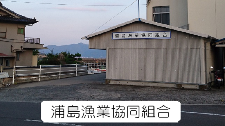 尾道　浦島漁業協同組合